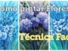 COMO PINTAR FLORES – 3 IDEAS, FÁCIL Y RÁPIDO- como pintar margaritas y hortensias!! Te encantará 😊