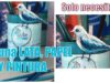 COMO RECICLAR UNA LATA -MUY FÁCIL- Lata, papel y pintura