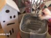 Como decorar tu baño con poco dinero