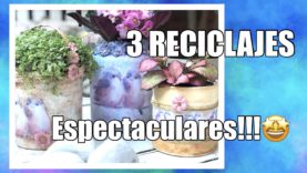 macetas pajaritos imagen destacada