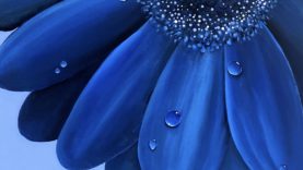 IMAGEN FLOR AZUL