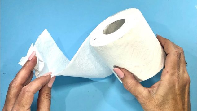 no te vas a creer lo que hago con papel higienico