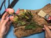5 ideas encontre un tronco